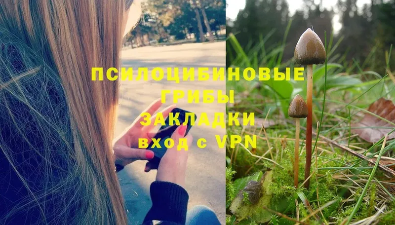 Галлюциногенные грибы Psilocybe  Маркс 